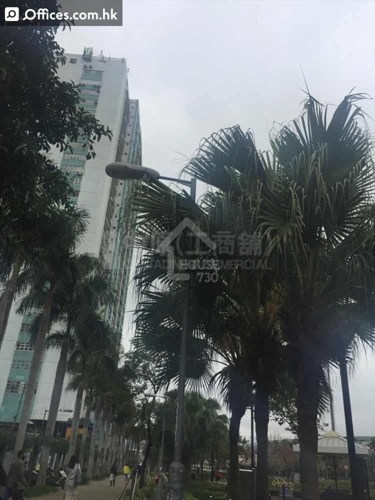 6 Sun Yip Street
